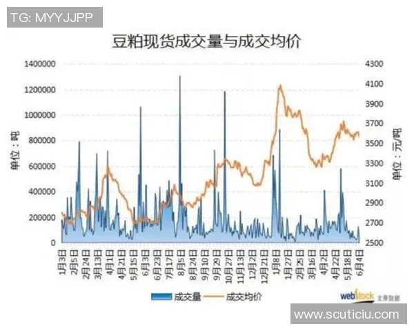 玩足球球星卡的市场价格是多少一张影响因素分析及价格走势预测